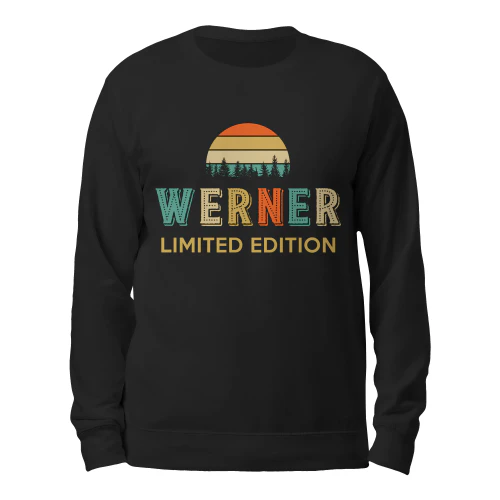 werner-se12a-486
