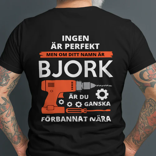 bjork-se500best3-67