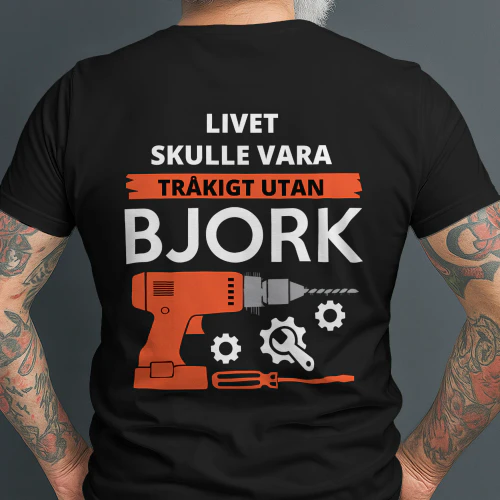 bjork-se500best4-67