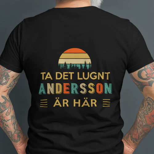 andersson-se6b-28