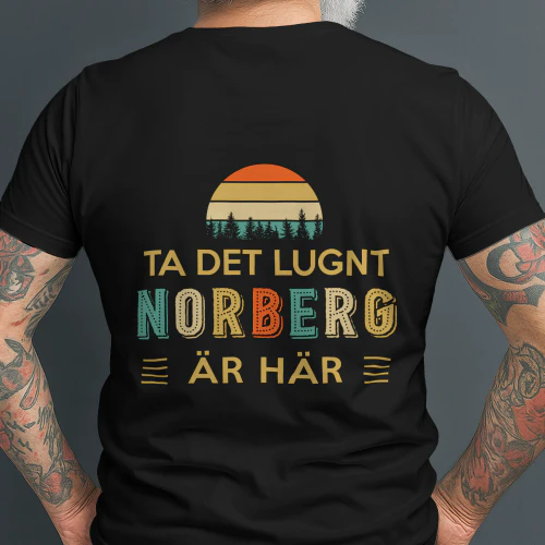 norberg-se6b-336