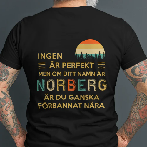 norberg-se8b-336