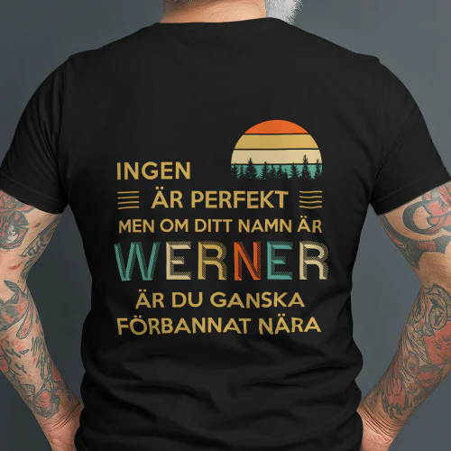 werner-se8b-486