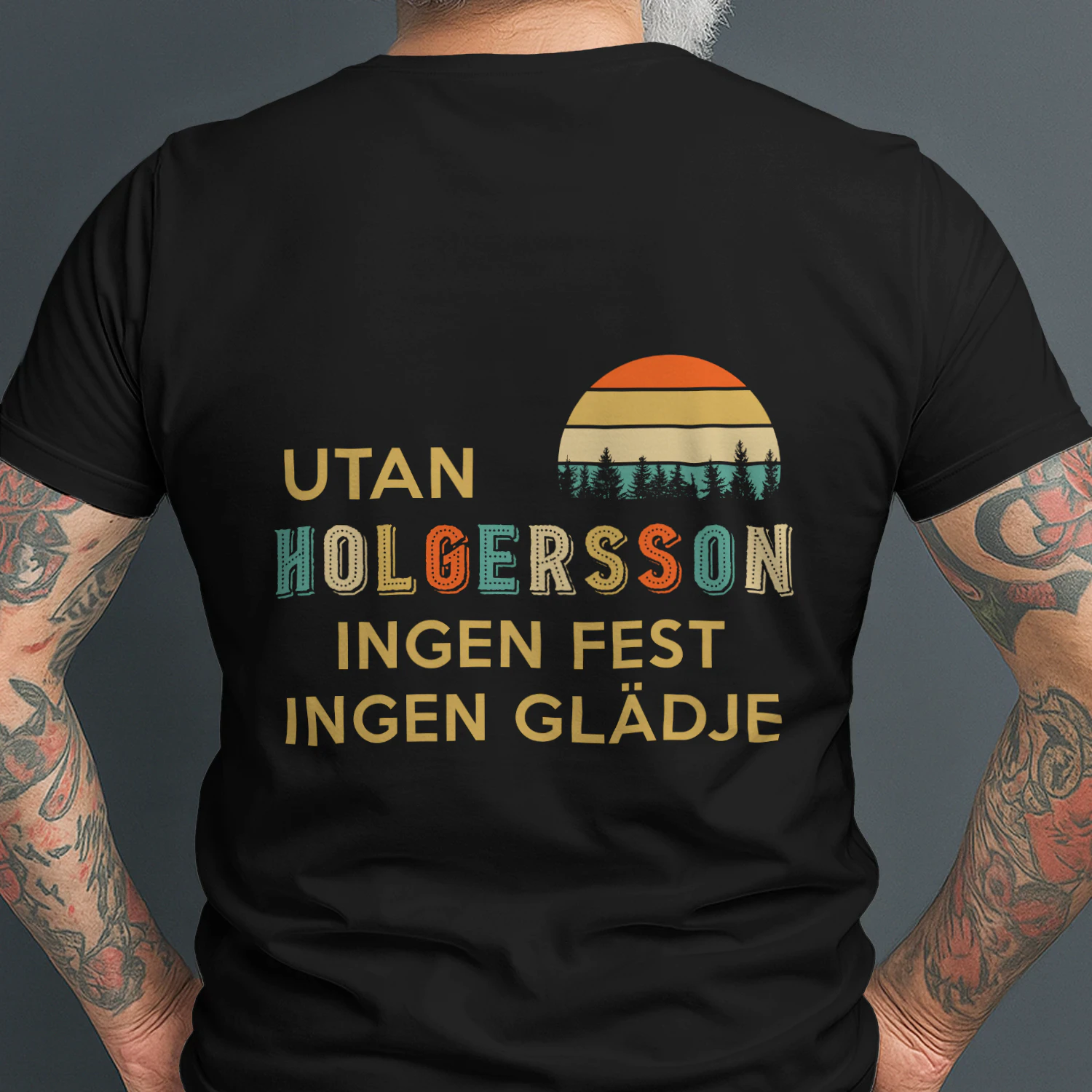 holgersson-se11b-208