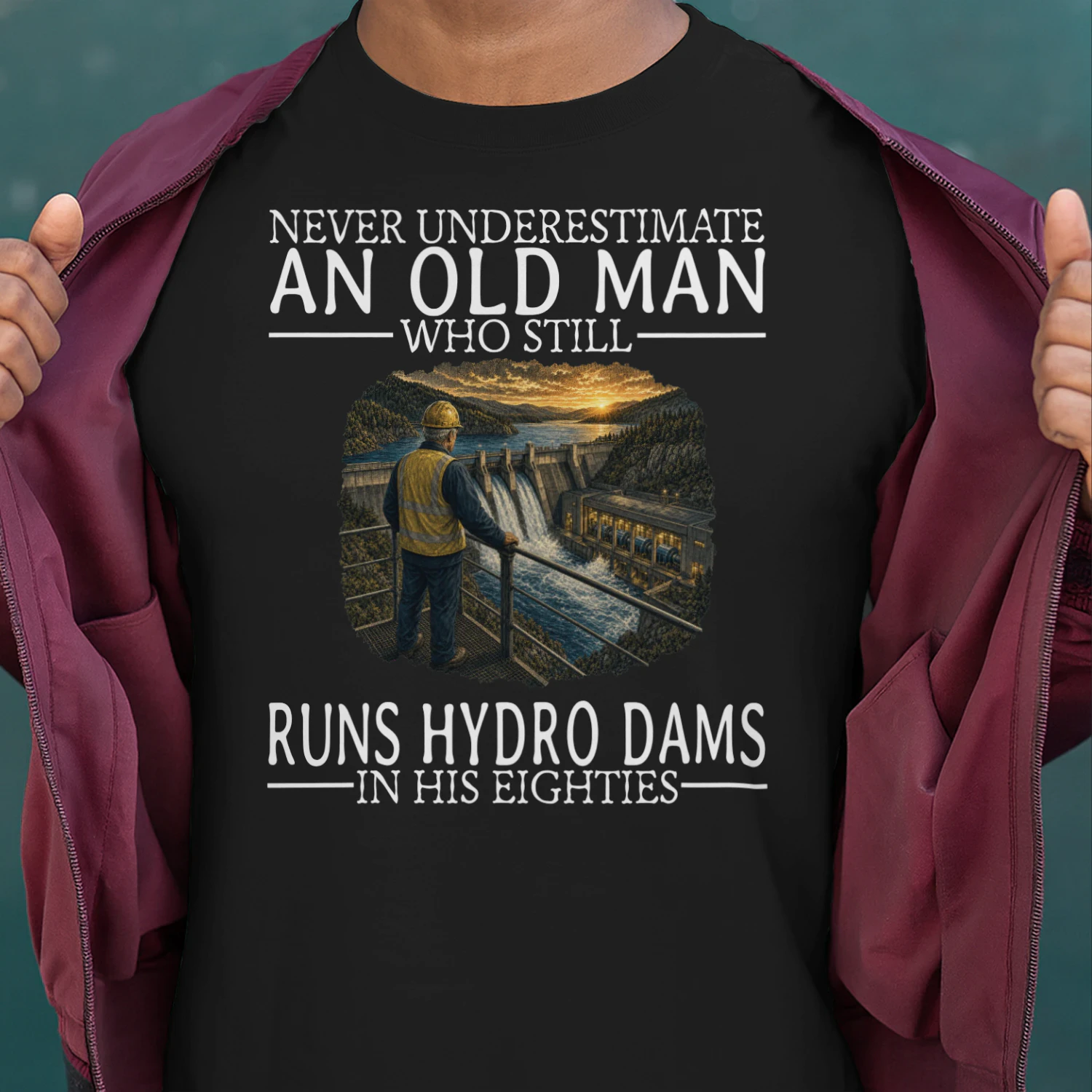hydro-electric-operator-nv80bl-en205