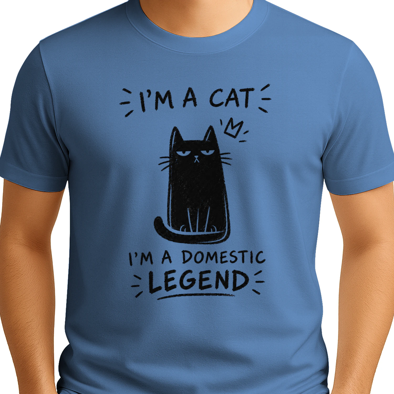 "I'm A Cat, I'm A Domestic Legend" - Black Cat Lover Gift