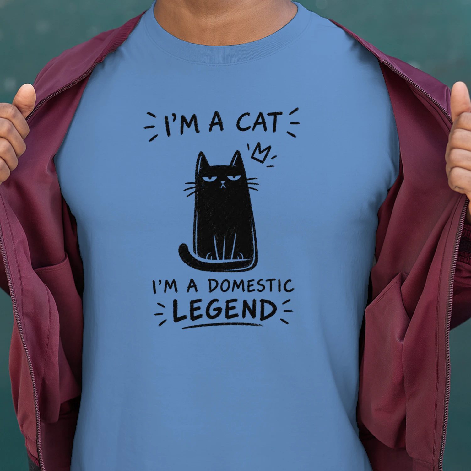 "I'm A Cat, I'm A Domestic Legend" - Black Cat Lover Gift