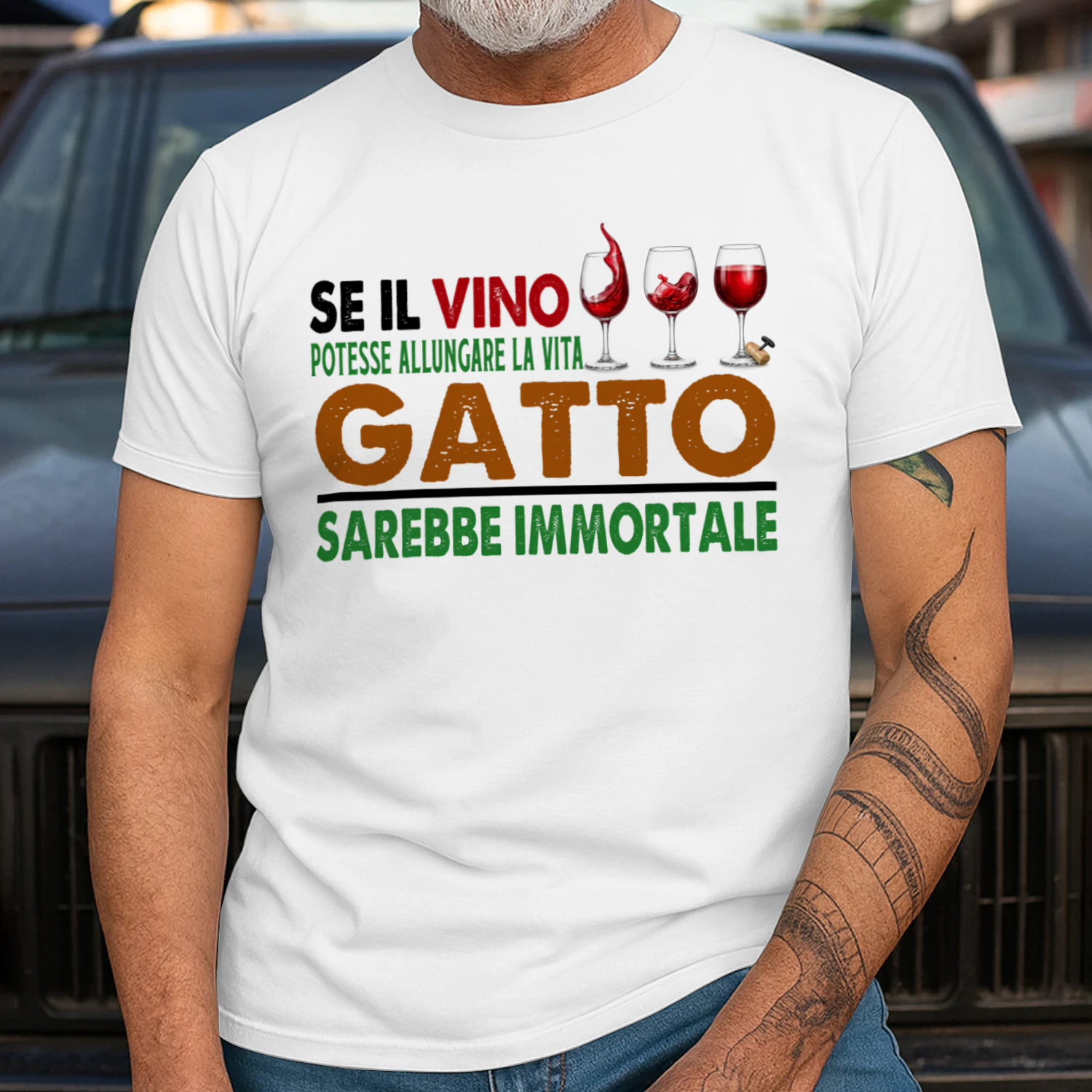 IT0218 Gatto TSIT14