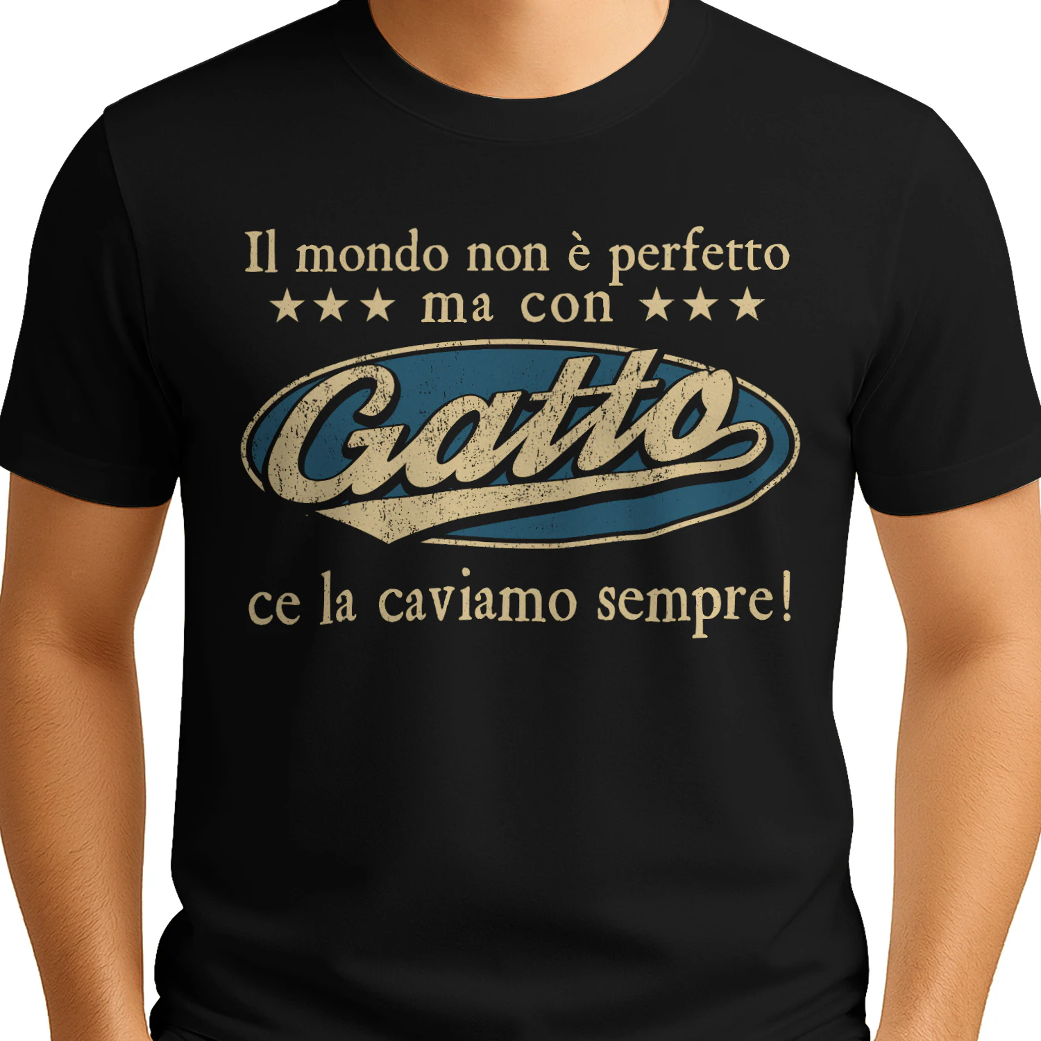 IT0218 Gatto TSIT11