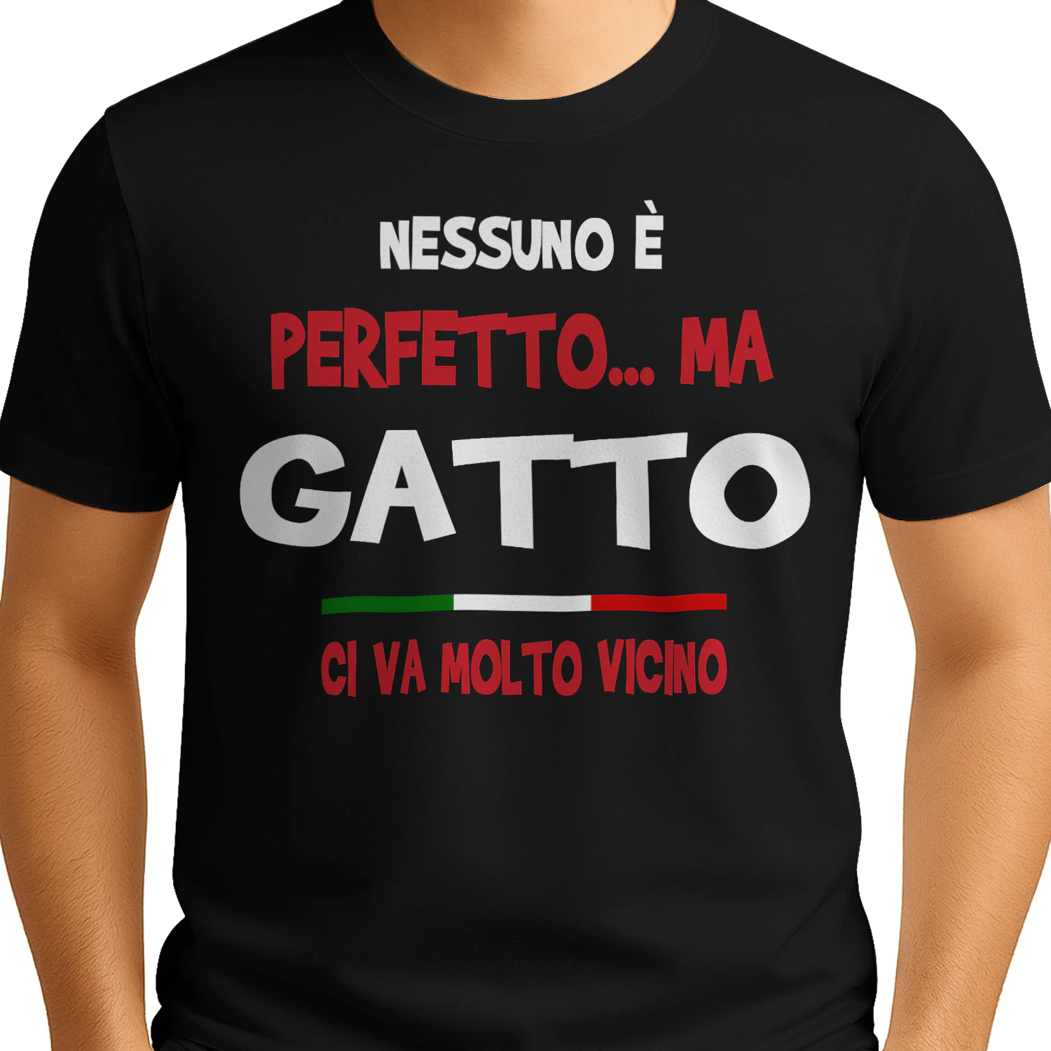 IT0218 Gatto TSIT13
