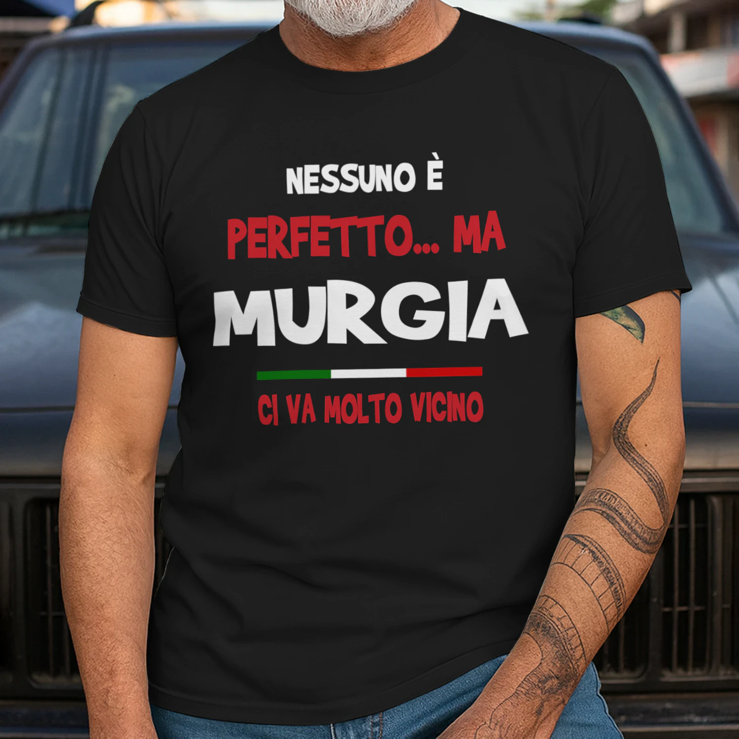 IT0331 Murgia TSIT13