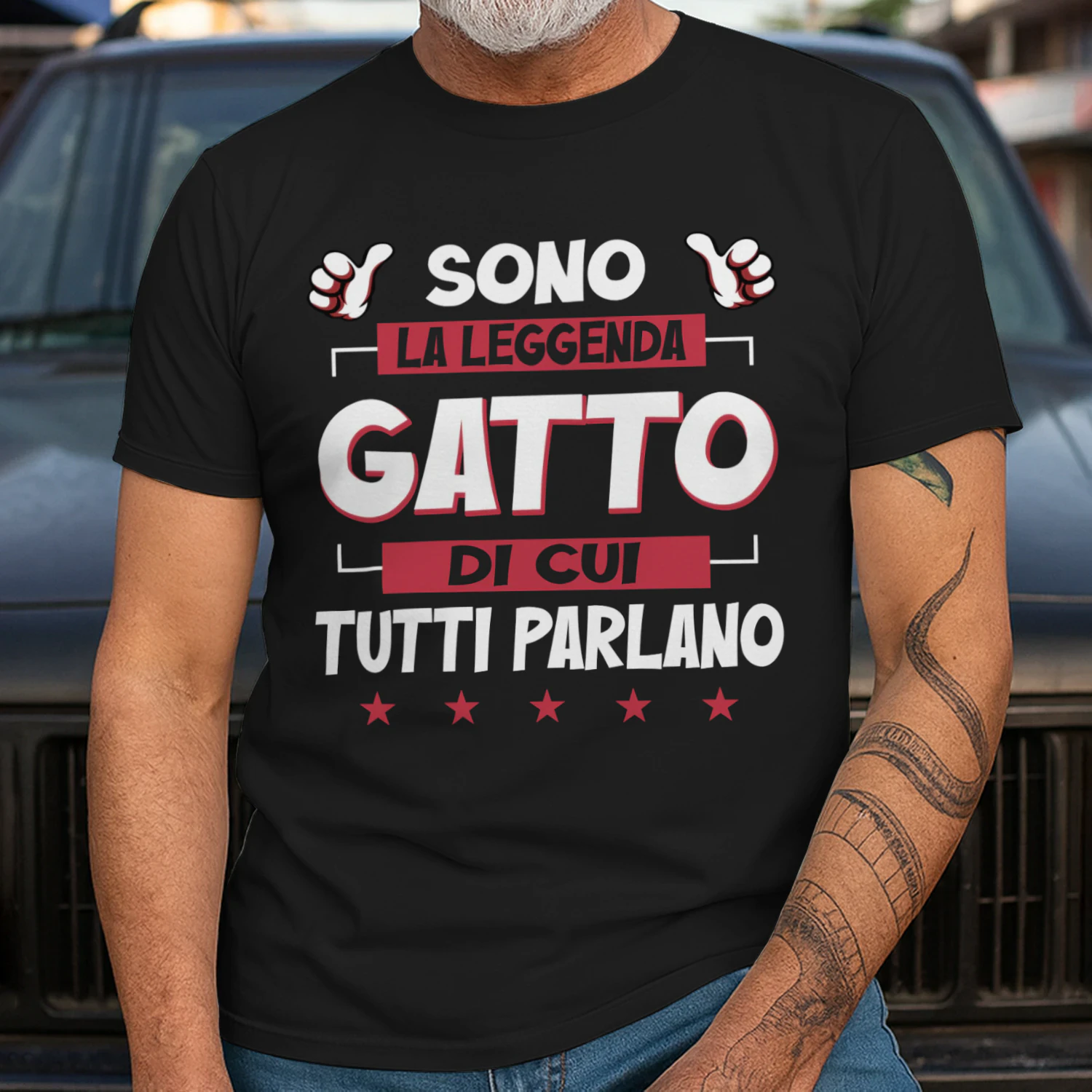 IT0218 Gatto TSIT21