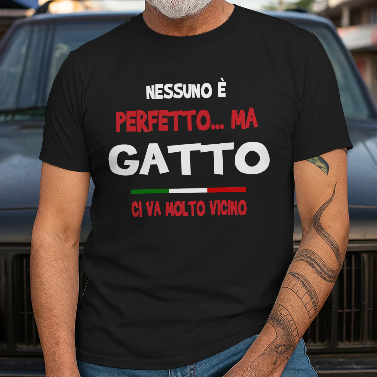 IT0218 Gatto TSIT13