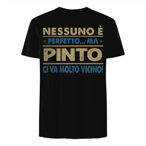 IT0139 Pinto TSIT16