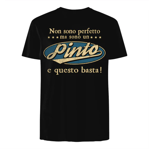 IT0139 Pinto TSIT09