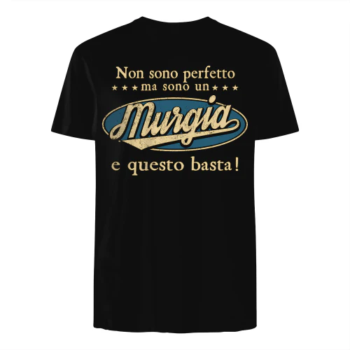 IT0331 Murgia TSIT09