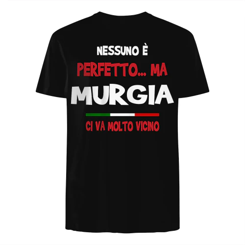 IT0331 Murgia TSIT13