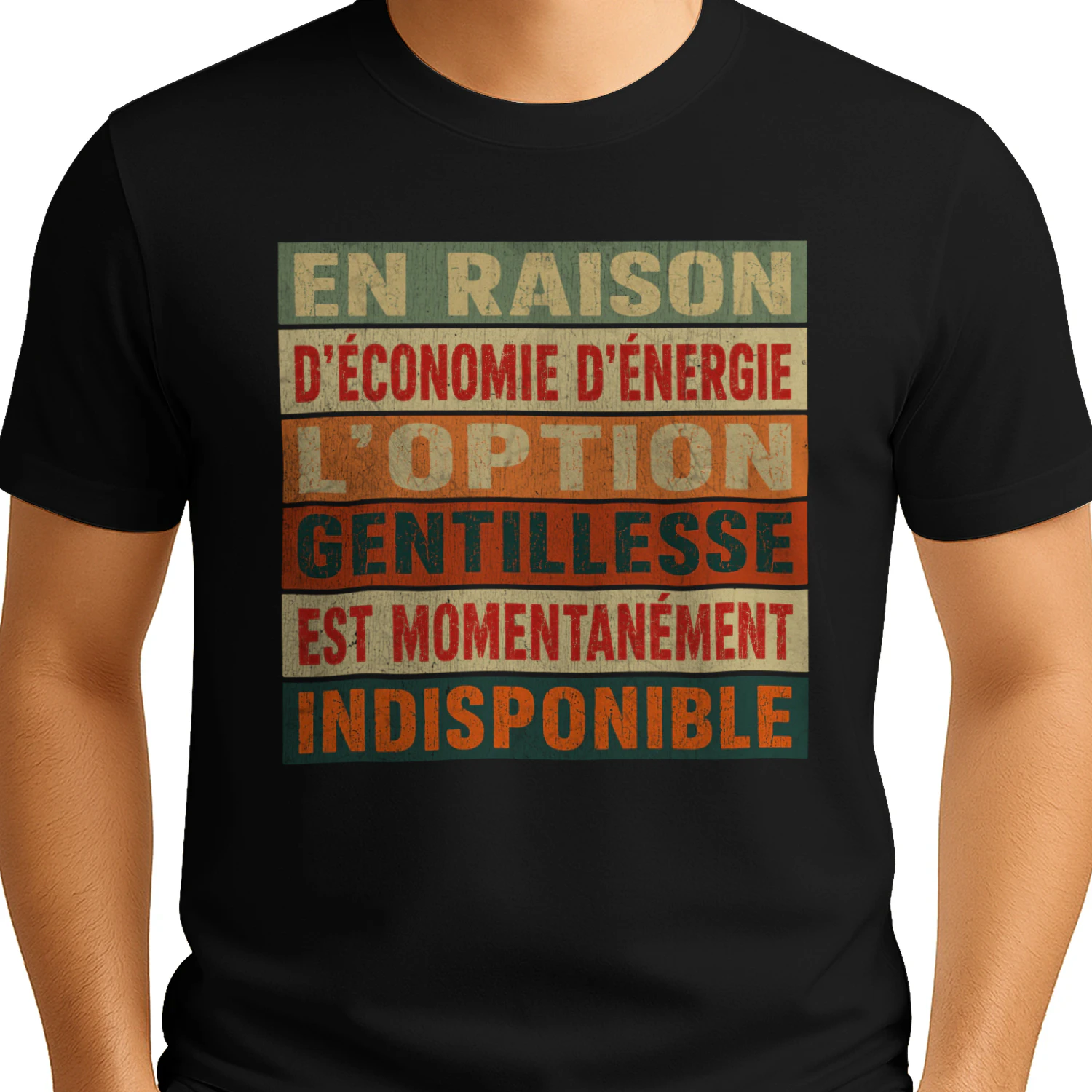 En Raison D'Économie D'Énergie L'Option Gentillesse Est Momentanément Indisponible