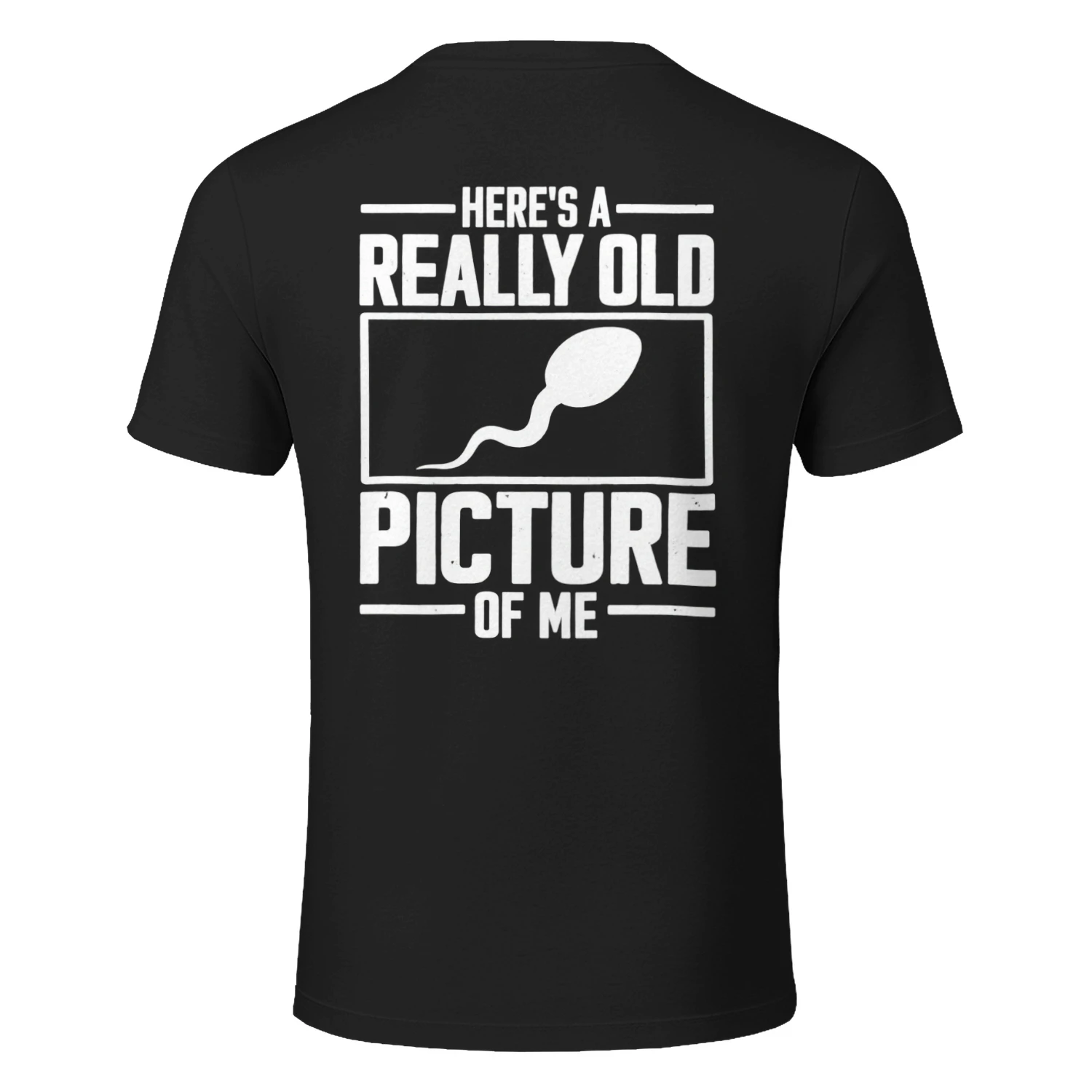 Here's A Really Old Picture Of Me Funny Gag T-Shirt
