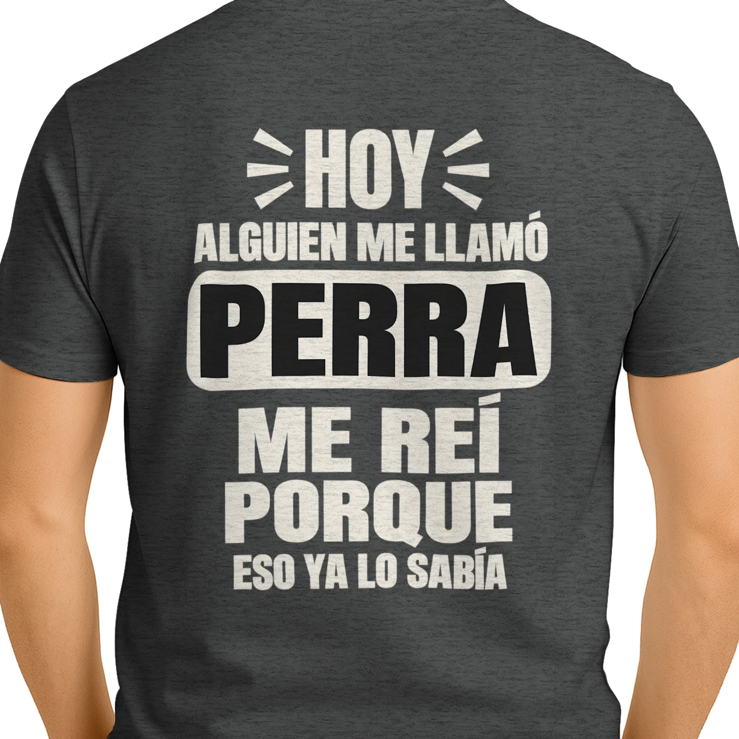 Me reí porque ya lo sabía – Camiseta de humor sarcástico