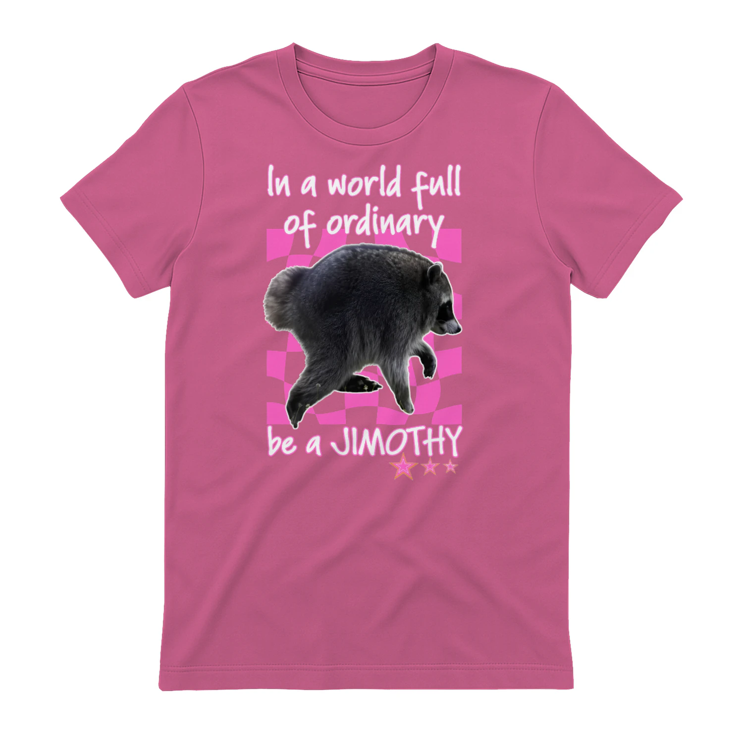 In A World Full Of Ordinary Be A Jimothy Raccoon Shirt
