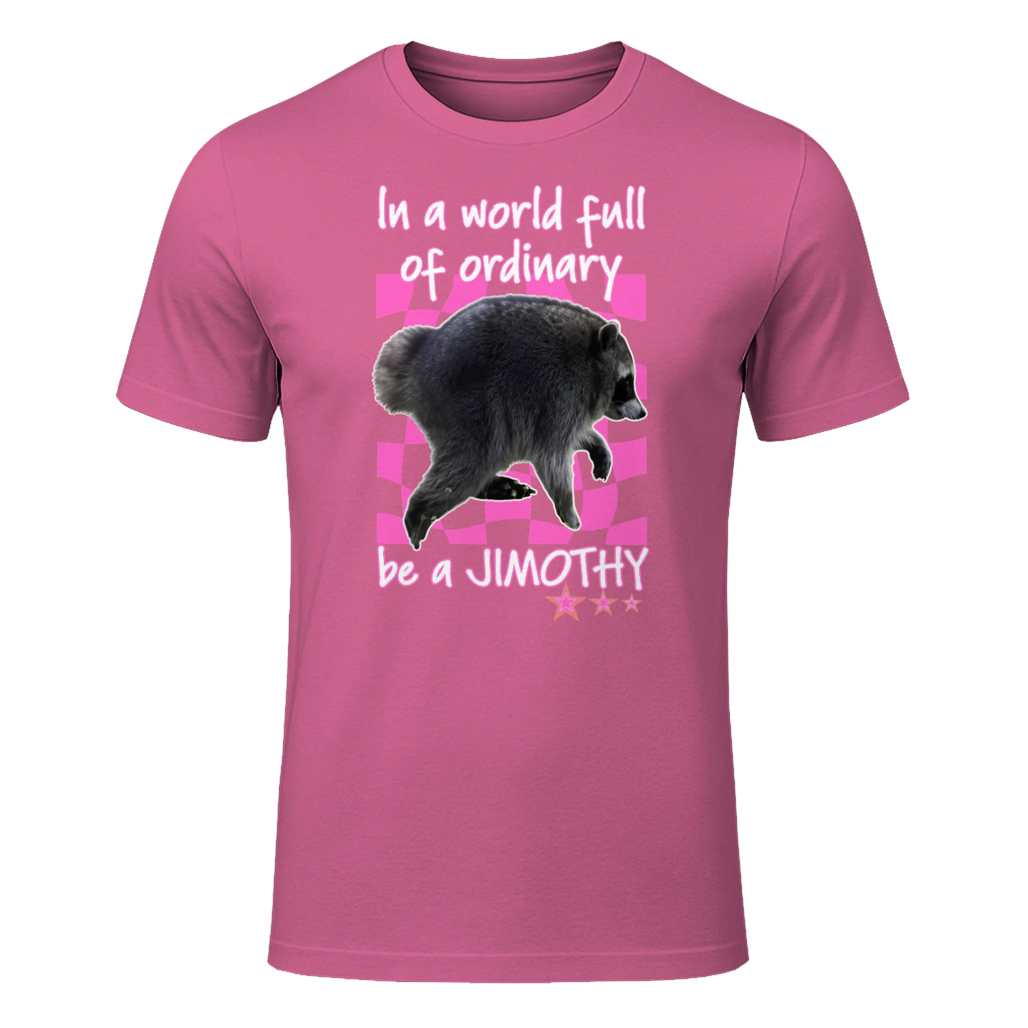 In A World Full Of Ordinary Be A Jimothy Raccoon Shirt