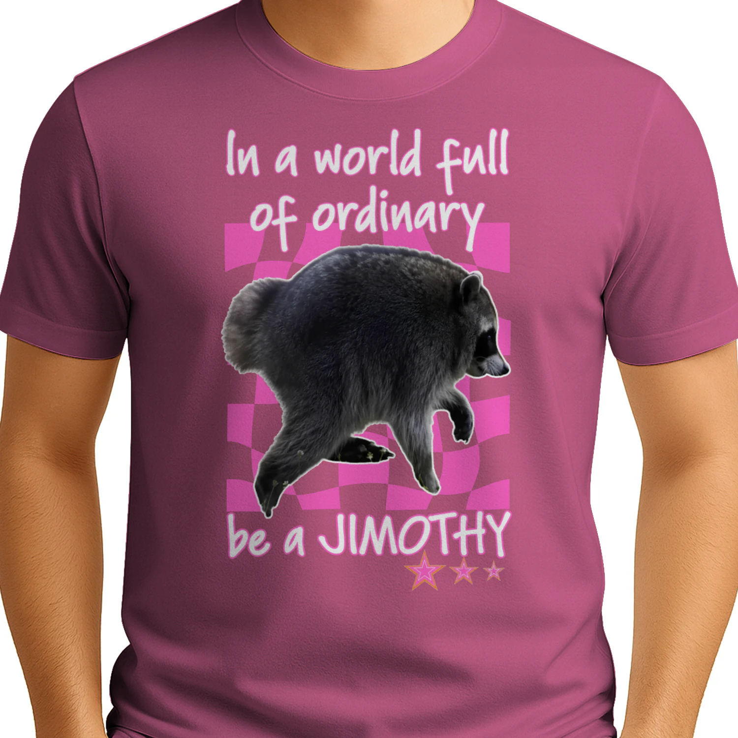 In A World Full Of Ordinary Be A Jimothy Raccoon Shirt