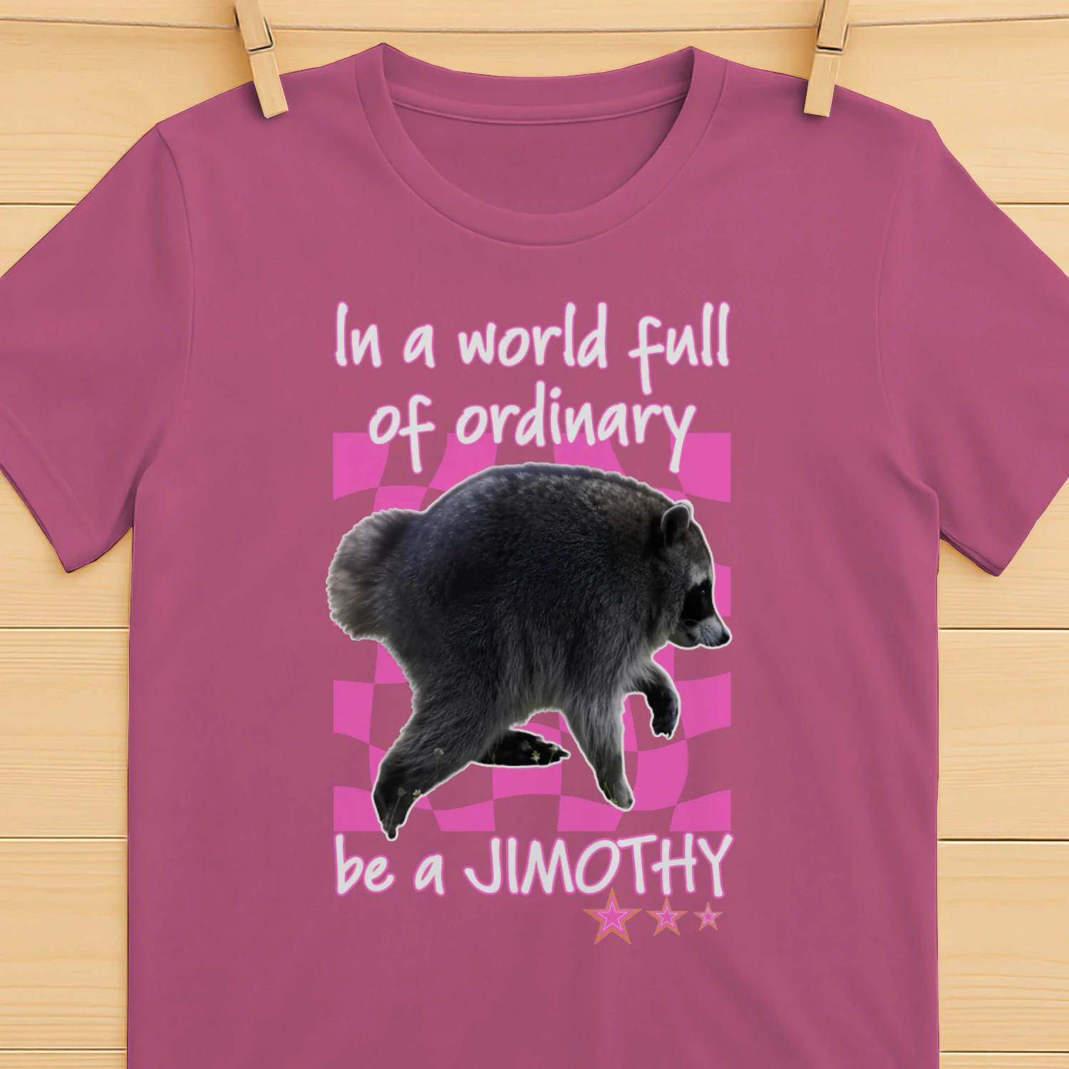 In A World Full Of Ordinary Be A Jimothy Raccoon Shirt
