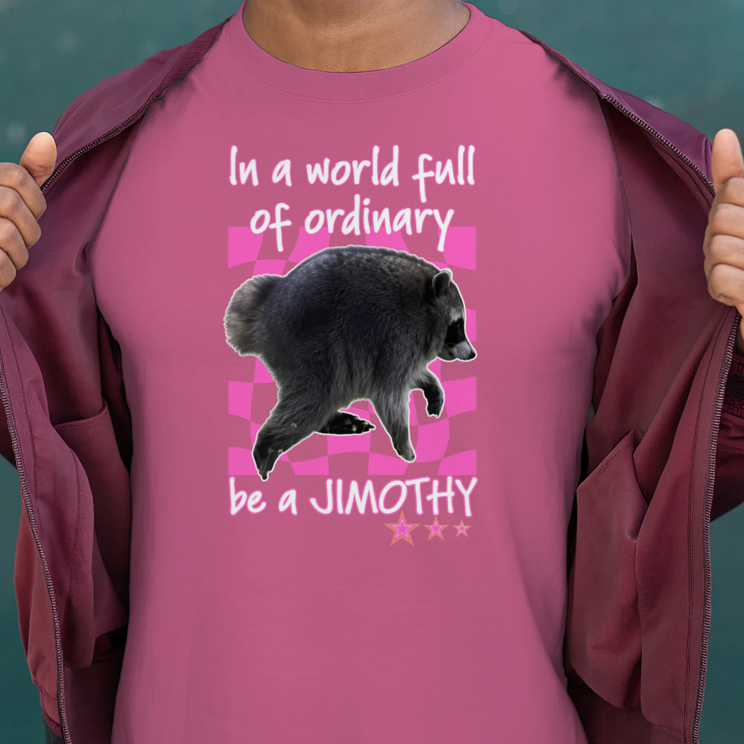 In A World Full Of Ordinary Be A Jimothy Raccoon Shirt