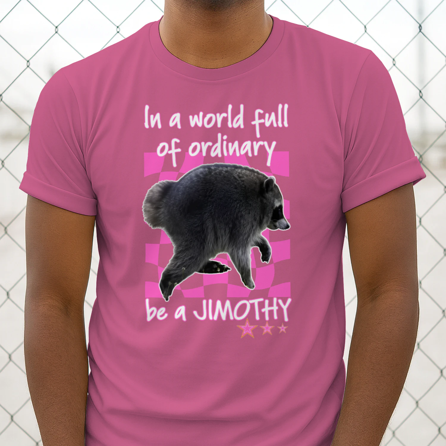 In A World Full Of Ordinary Be A Jimothy Raccoon Shirt