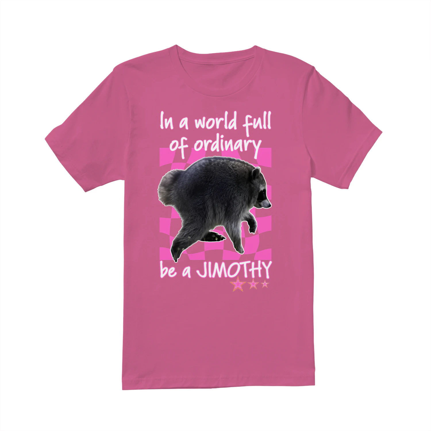 In A World Full Of Ordinary Be A Jimothy Raccoon Shirt