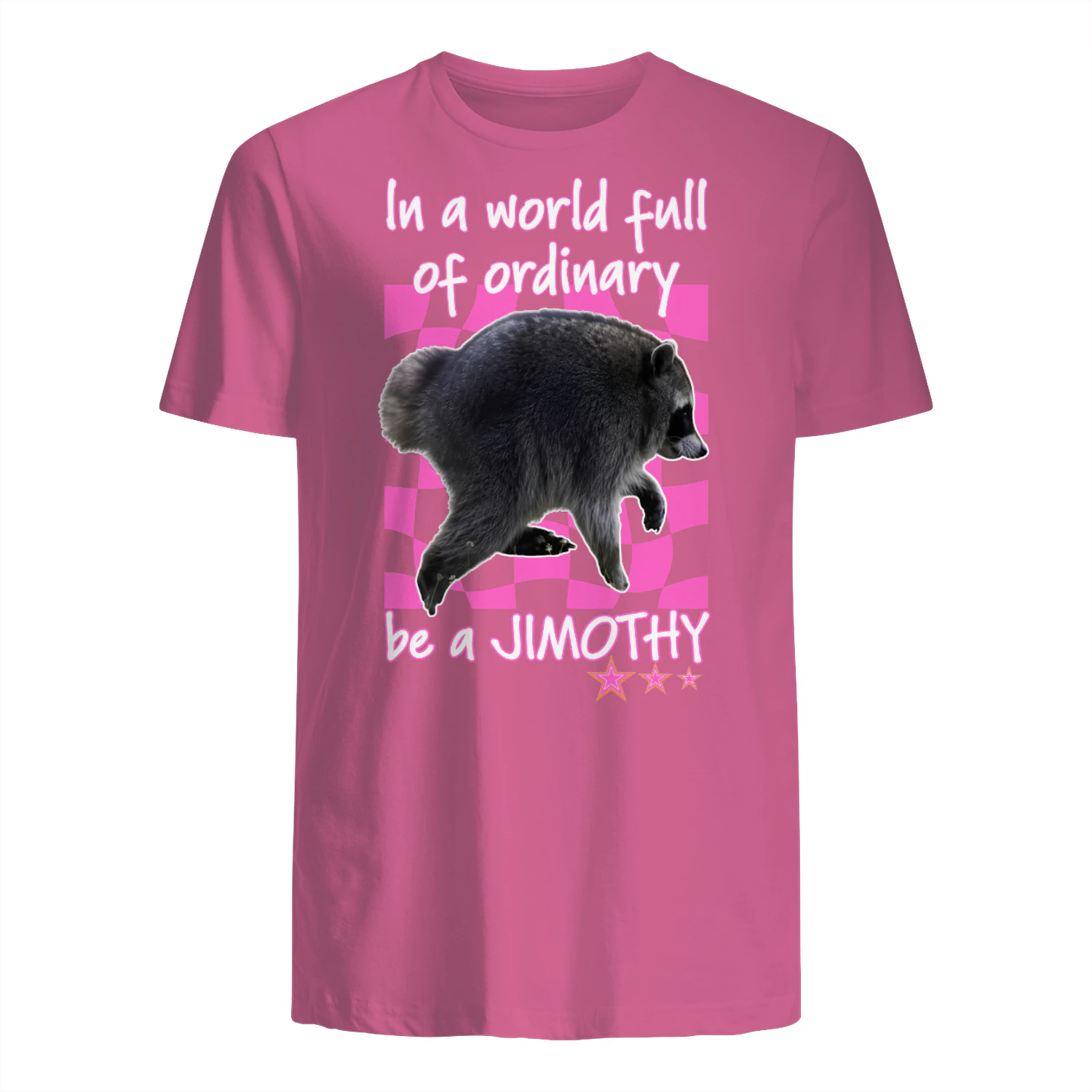 In A World Full Of Ordinary Be A Jimothy Raccoon Shirt