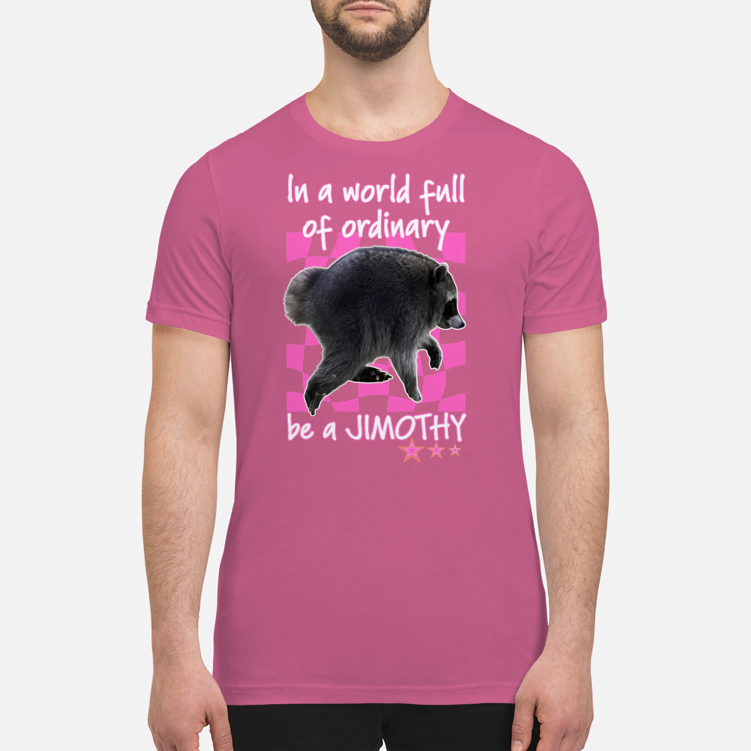 In A World Full Of Ordinary Be A Jimothy Raccoon Shirt