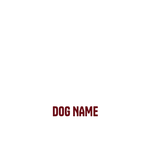 Product personalized Image