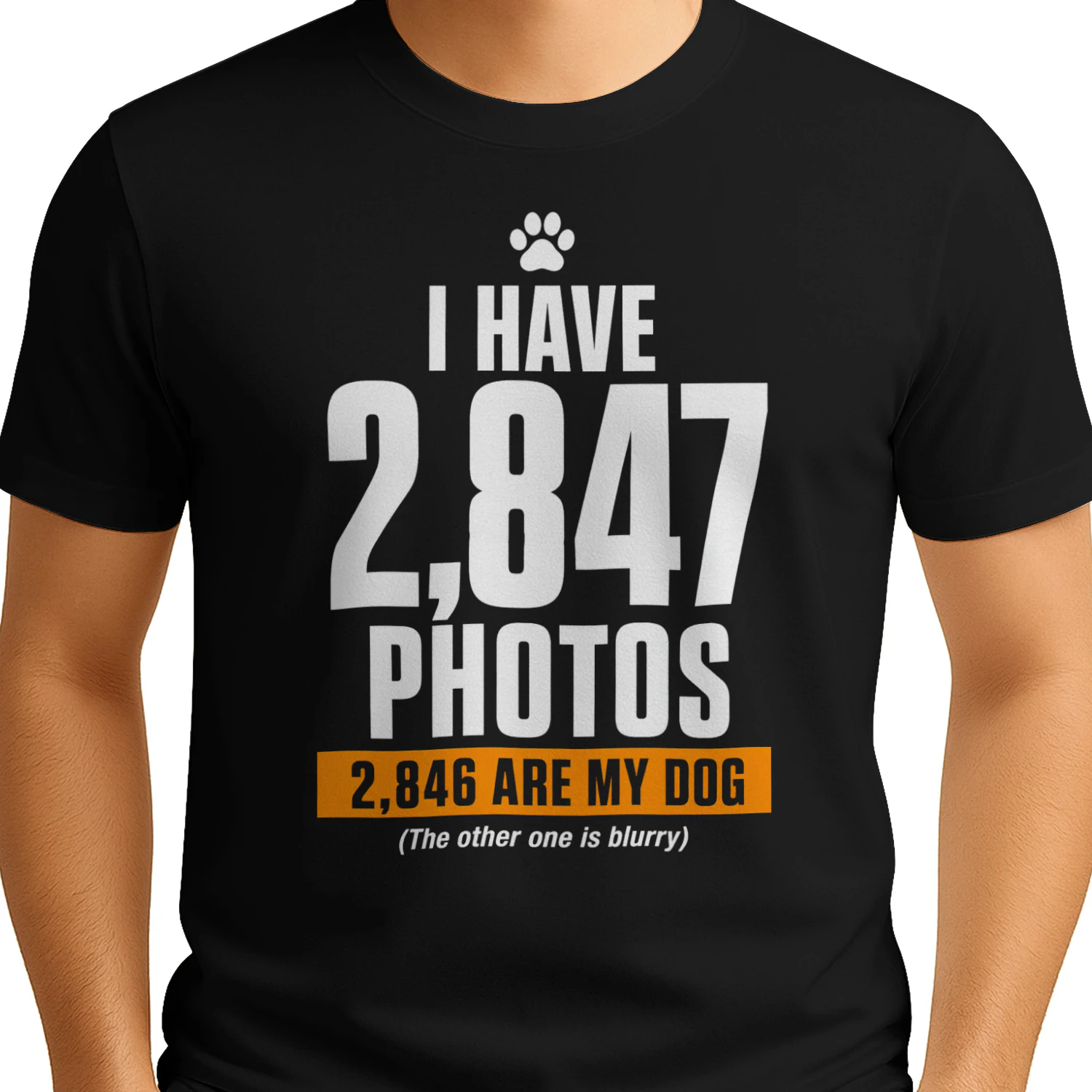 i have 2847 photos