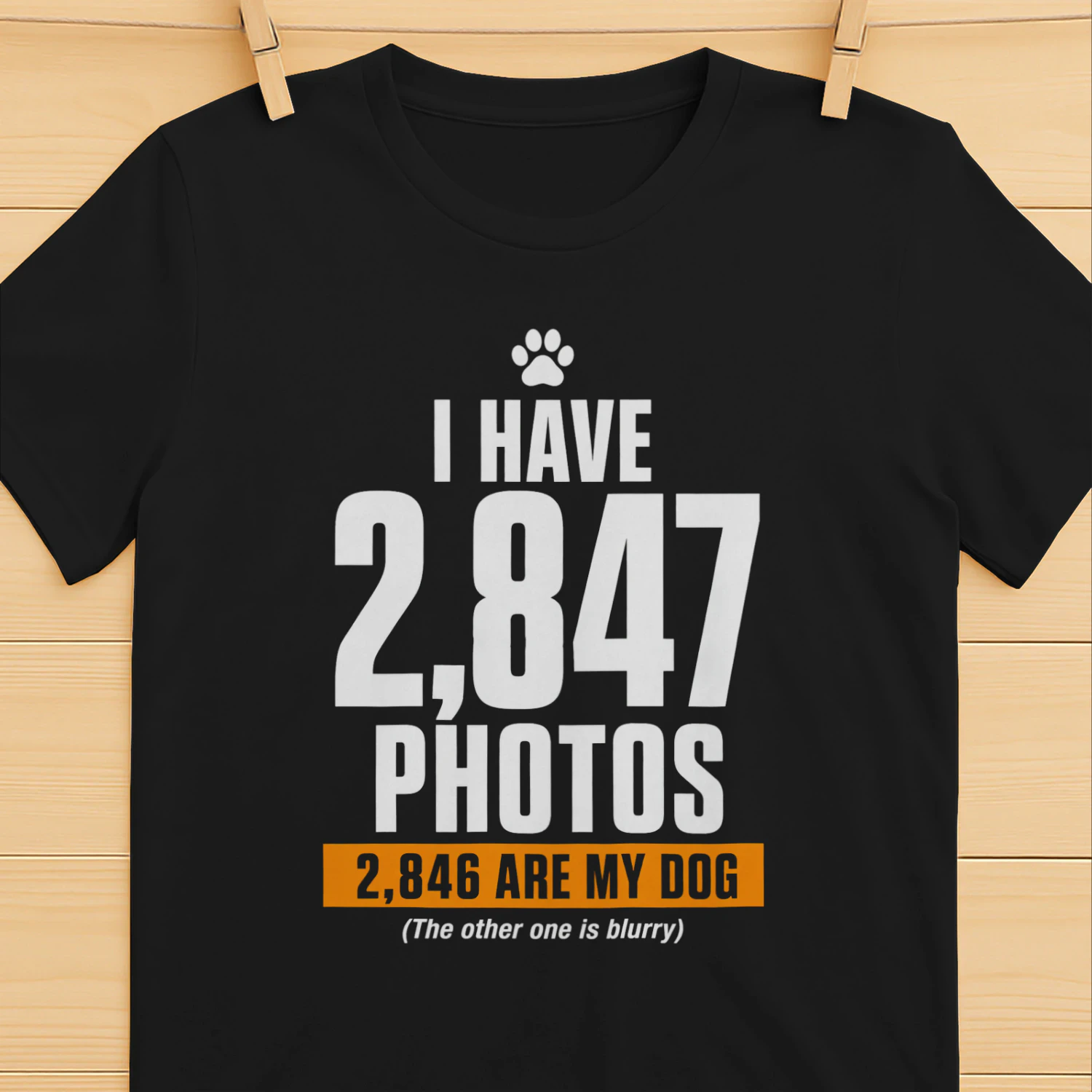 i have 2847 photos