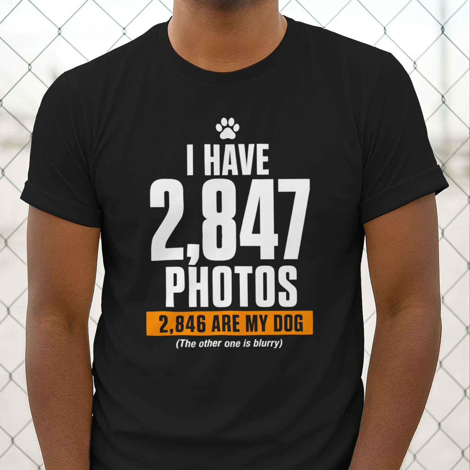 i have 2847 photos