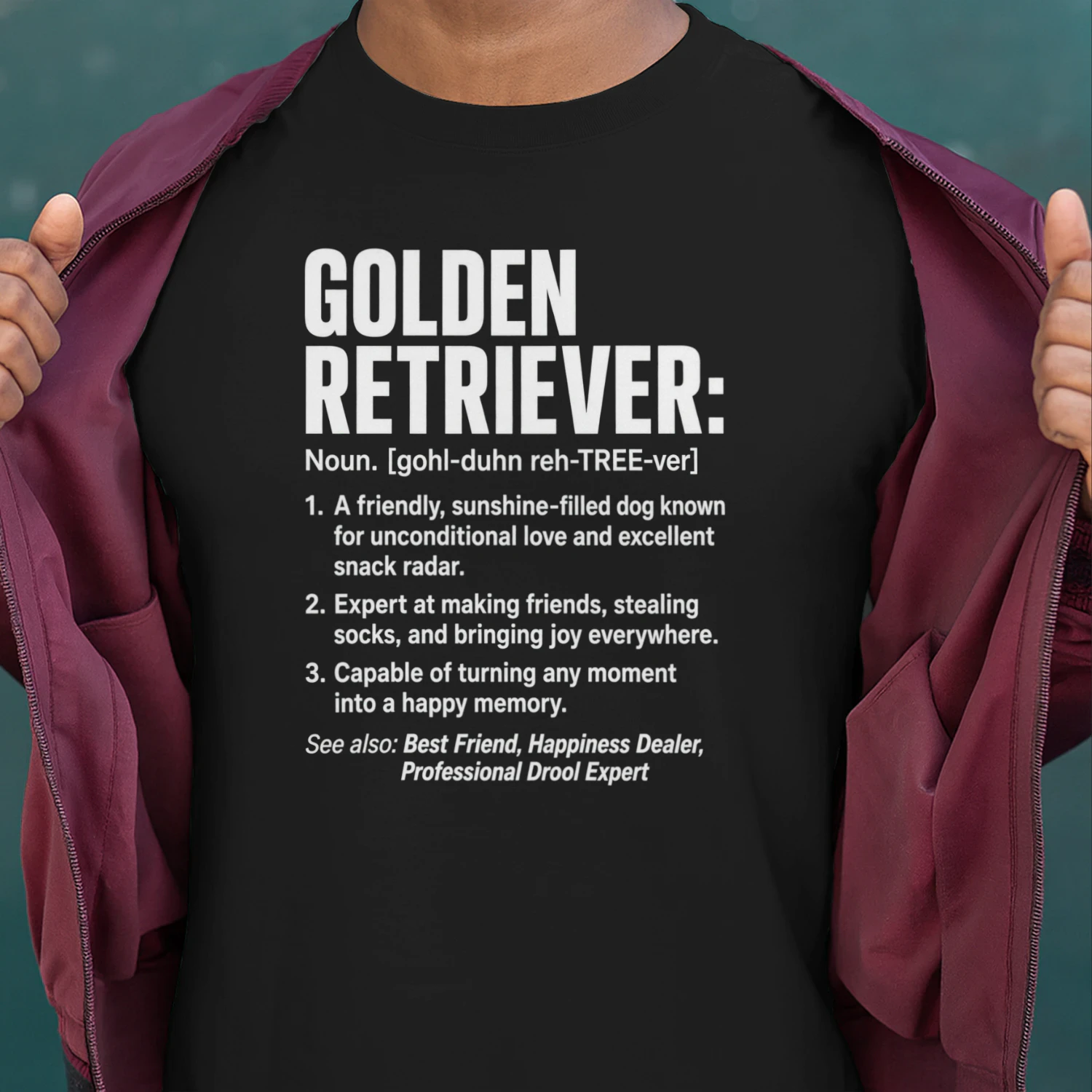 Golden Retriever Noun Definition Design | Funny Golden Retriever Dog Lover Gift | Golden Retriever Owner Humor Graphic