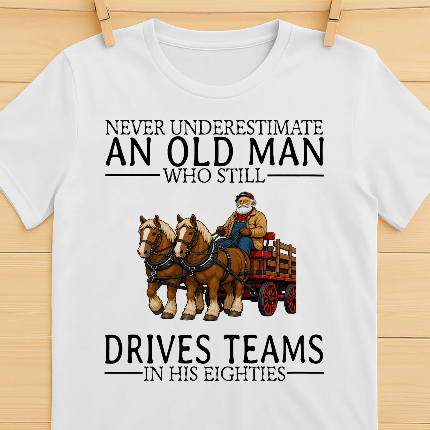 draft-horse-driving-nv80-en445