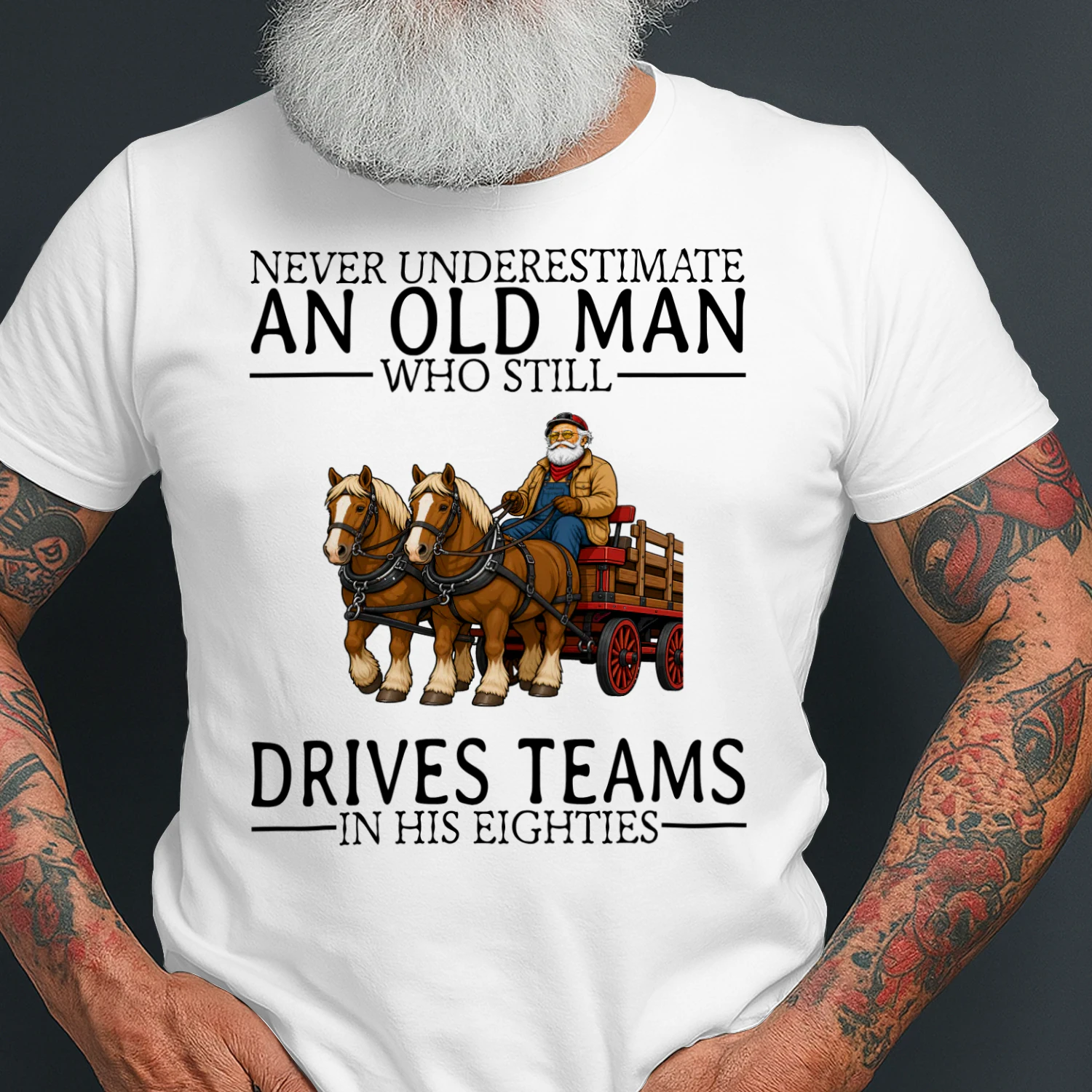 draft-horse-driving-nv80-en445