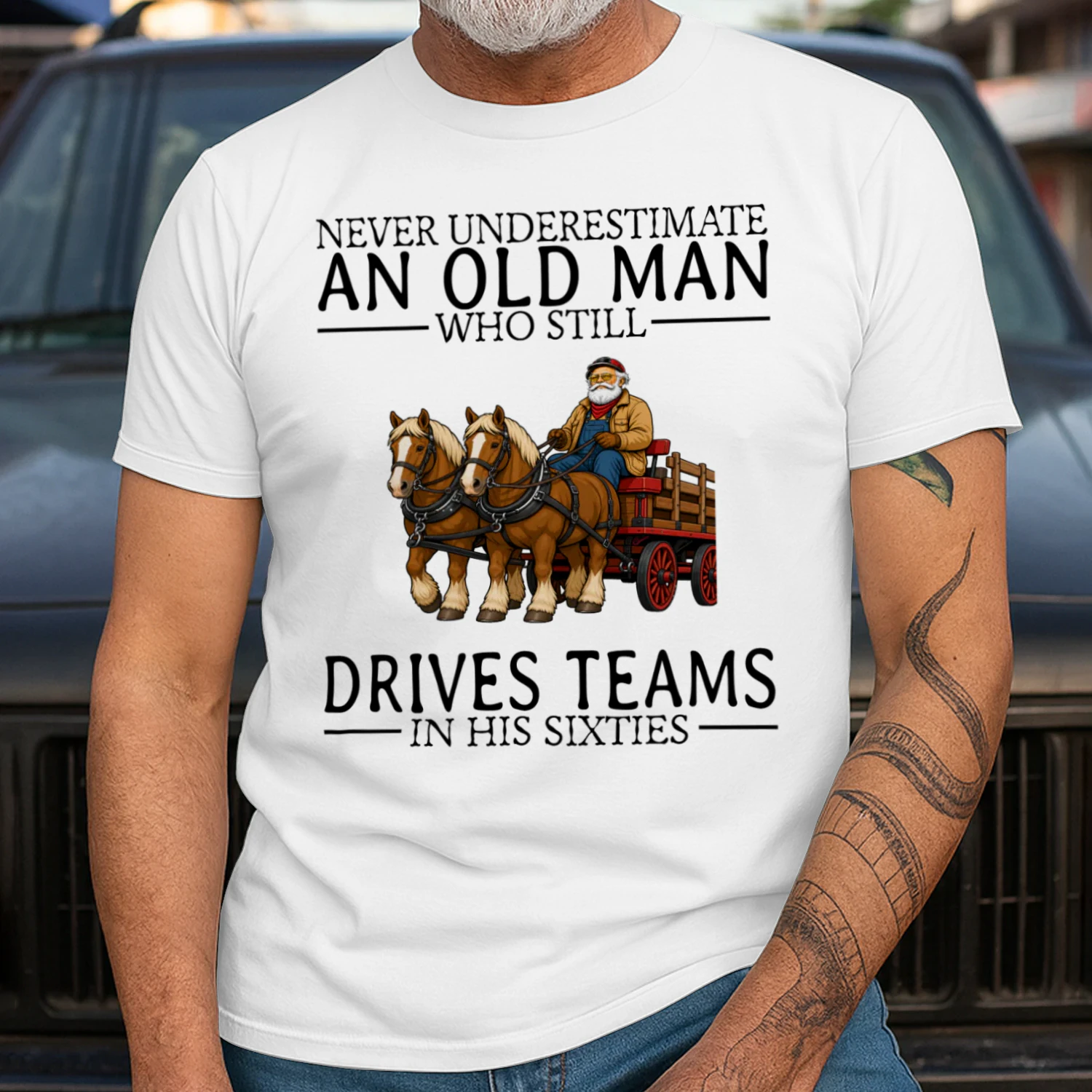 draft-horse-driving-nv60-en445