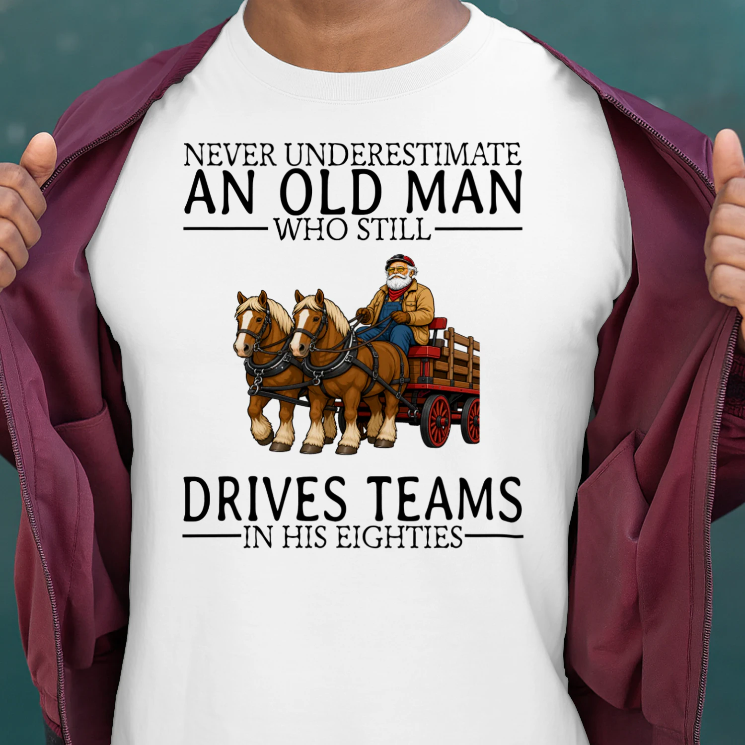 draft-horse-driving-nv80-en445