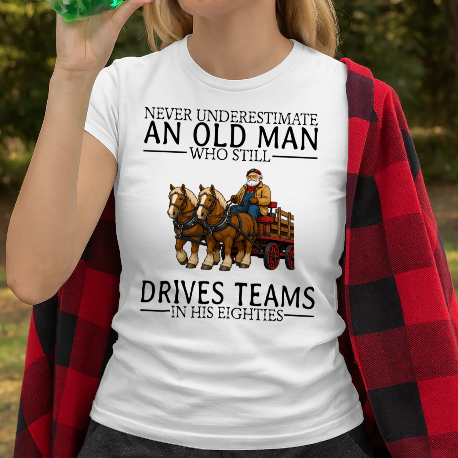 draft-horse-driving-nv80-en445