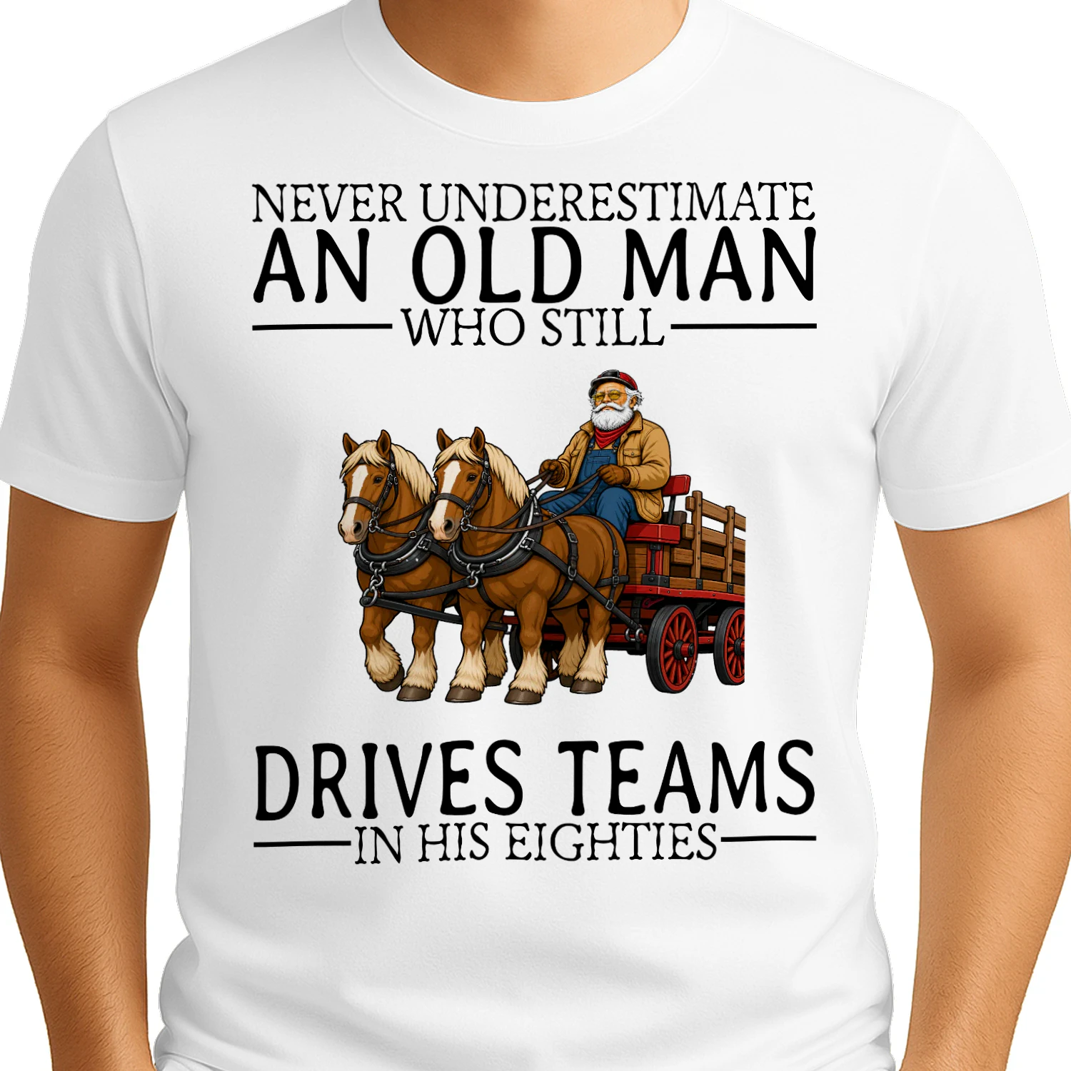 draft-horse-driving-nv80-en445