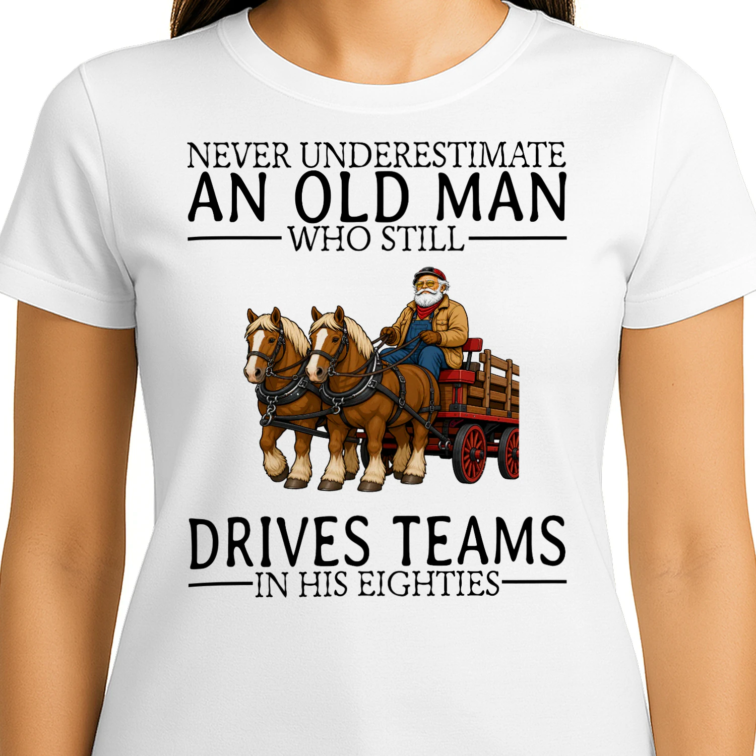 draft-horse-driving-nv80-en445