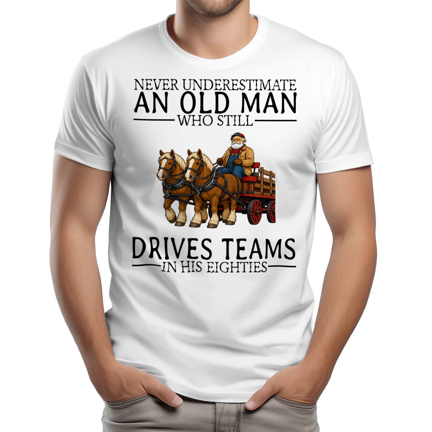 draft-horse-driving-nv80-en445