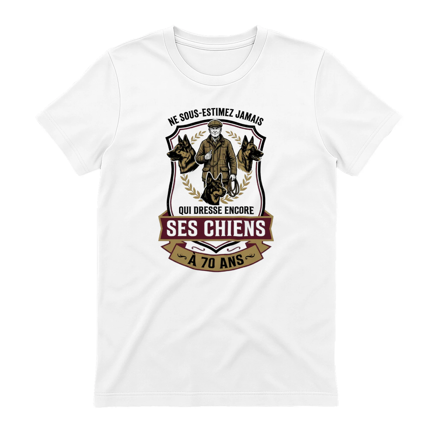 D-FR-DOGTRAINNER-QUI-DRESSE-ENCORE-SES-CHIENS-A70-170726-36