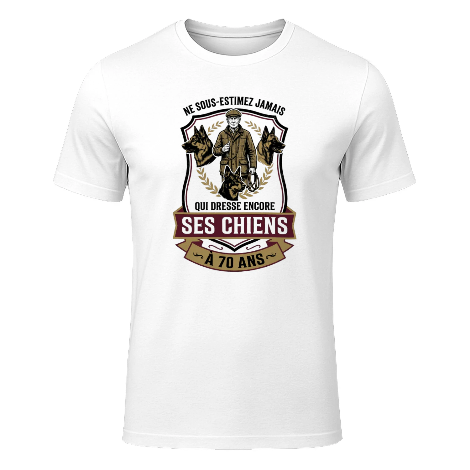 D-FR-DOGTRAINNER-QUI-DRESSE-ENCORE-SES-CHIENS-A70-170726-36