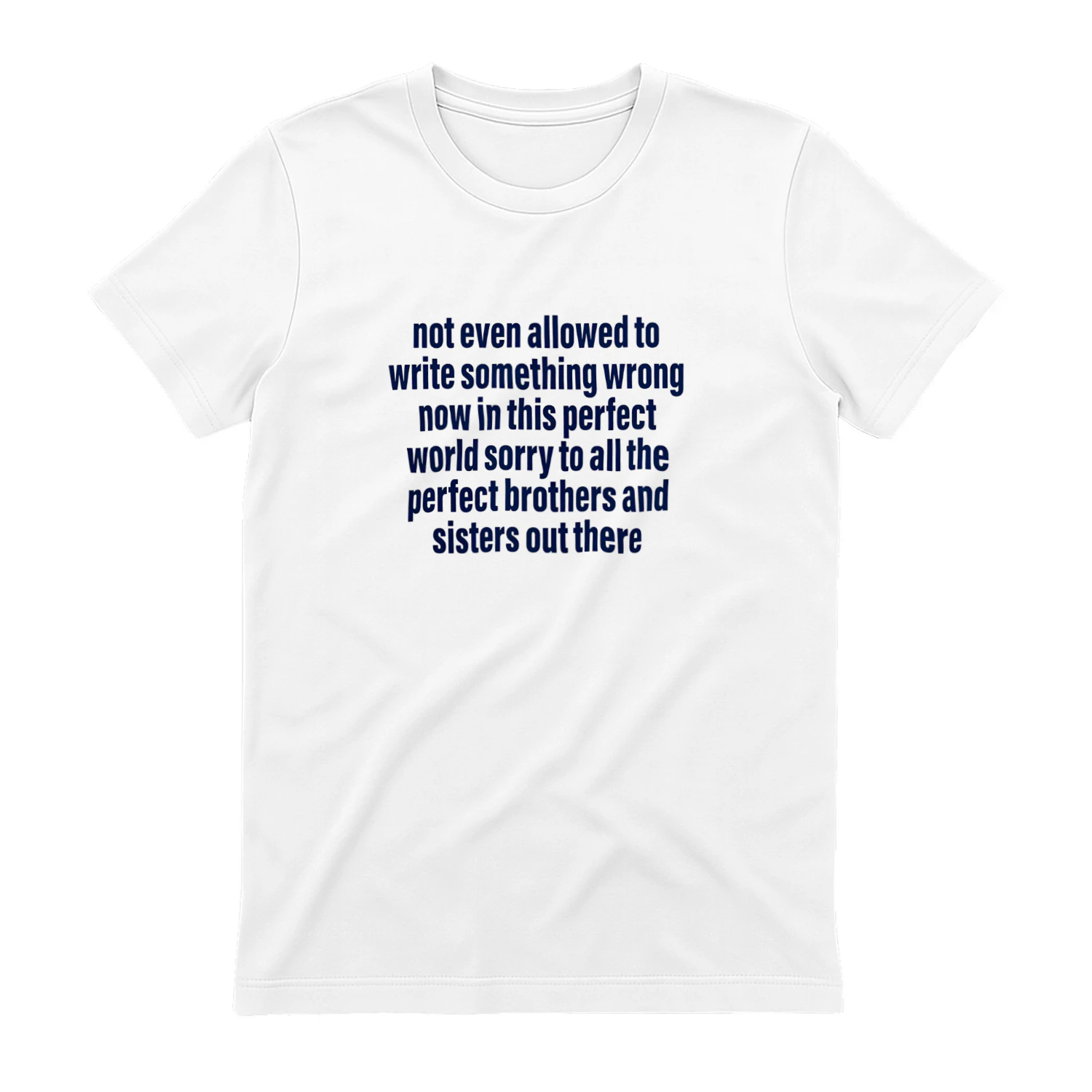Not Even Allowed To Write Something Wrong Now In This Perfect World Shirt