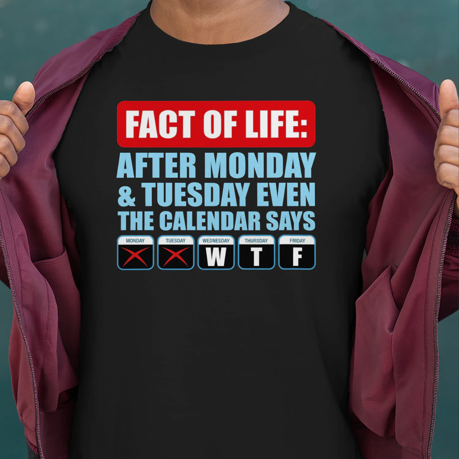 Fact Of Life Calendar WTF Shirt - Hilarious Work